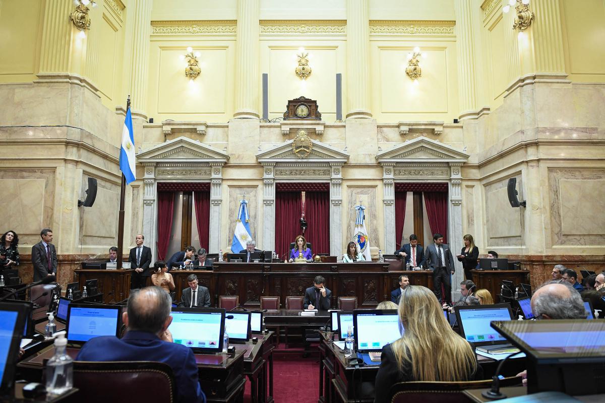 EN SESIÓN. Abdala de Zamora presidió el debate, del que sólo participaron el Frente de Todos y sus aliados. Foto de Prensa Senado