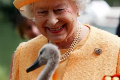 Los extraños privilegios de Isabel II: sin pasaporte ni carné de manejo, y dueña de todos los cisnes