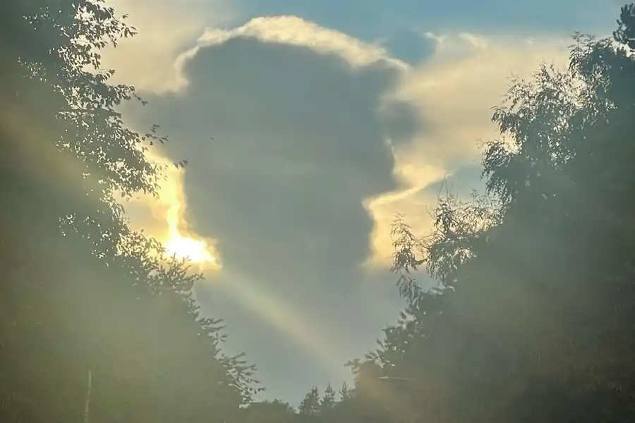 Imagen de la silueta de la reina Isabel