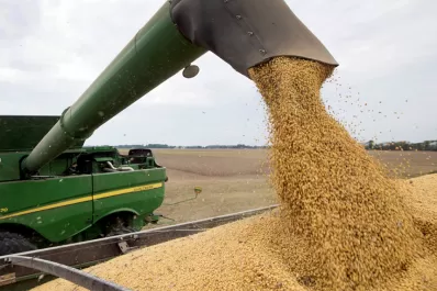 “El único que se beneficia del dólar soja es el Estado”