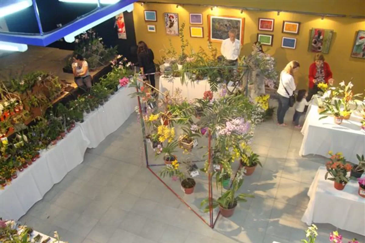 Yerba Buena será sede de la 18° Exposición de Orquídeas