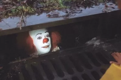 Hasta el librero más sagaz puede pisar el palito