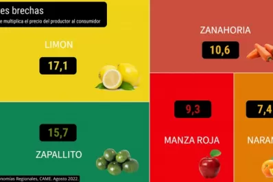 El consumidor pagó seis veces más de lo que cobró un productor de frutas y verduras
