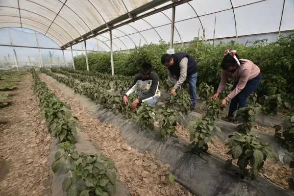 En Santa Ana quieren forjar alumnos que ayuden a revivir al pueblo