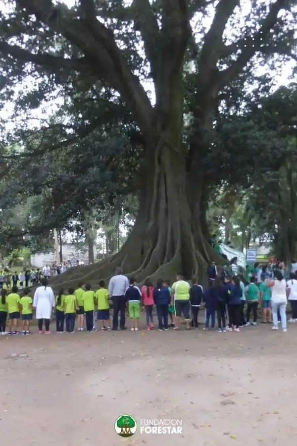 ¿Quién va a salvar a los viejos pueblos del sur?