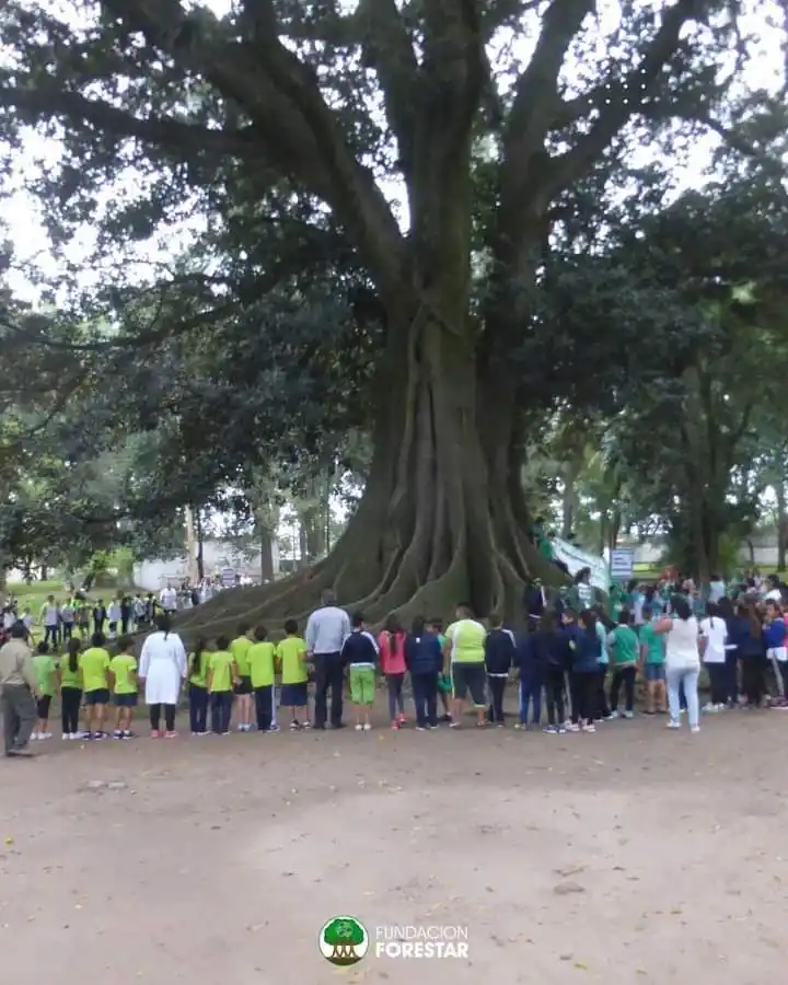 ¿Quién va a salvar a los viejos pueblos del sur?