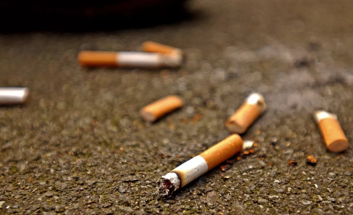 Colillas de cigarrillos. Foto de portalpolitico.tv