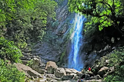 Cartas de lectores I: Patrimonio ambiental en riesgo