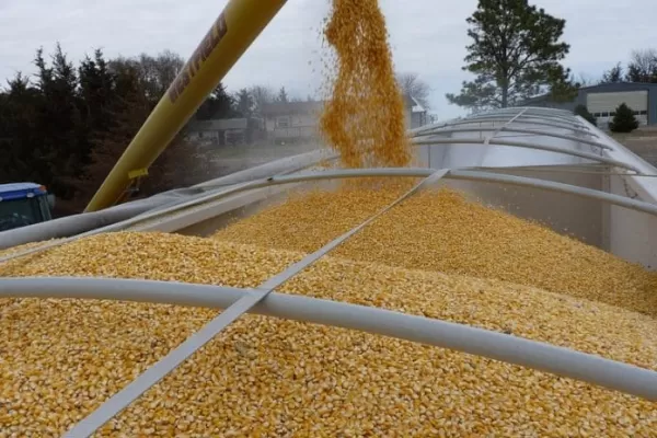 Acuerdo franco-rumano: con las exportaciones del grano ucraniano como objetivo