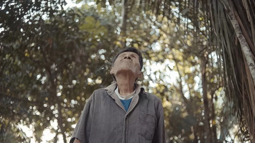 LA CULTURA AMAZÓNICA. “Jiwi Bewail, el árbol que canta” es uno de los ocho cortometrajes peruanos que se verán gratis en el Ente Cultiural. martinrebaza.com