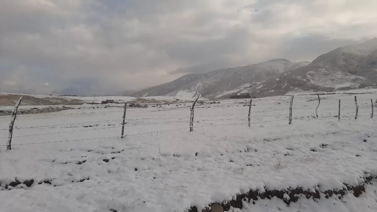 NIEVE EN TAFÍ DEL VALLE. Foto GENTILEZA JAVIER ASTORGA