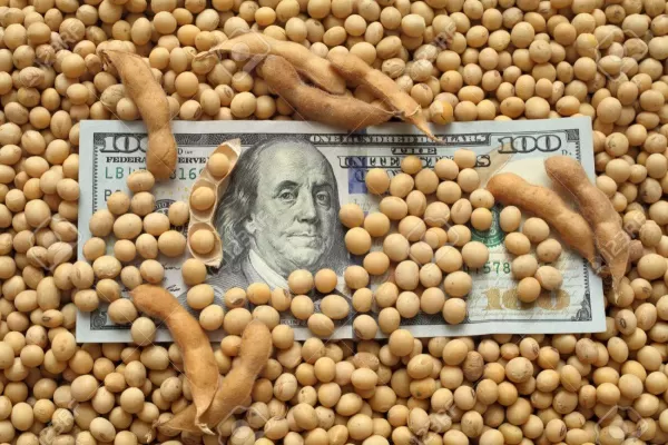 Arranque del dólar soja II: en el primer día agroexportadores liquidaron u$s292 millones