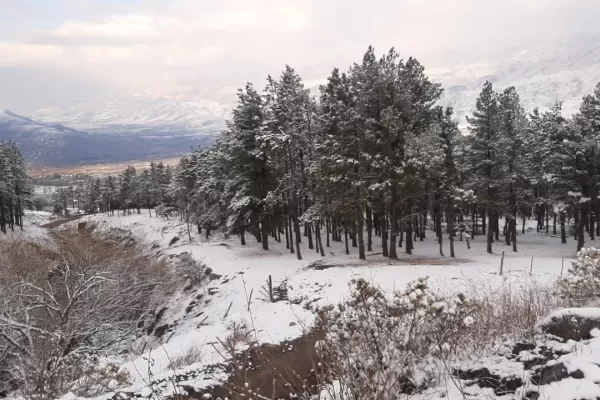 Nevó en Tafí del Valle  y los cerros amanecieron vestidos de blanco