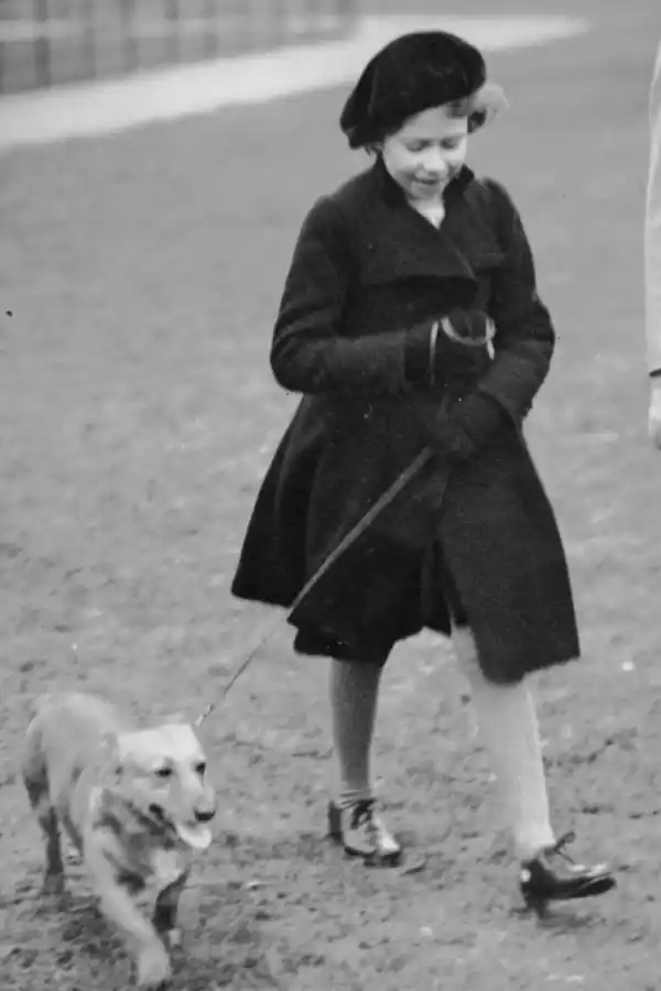 Tras la muerte de la reina Isabel, ¿quién se quedará al cuidado de sus fieles perros corgis?