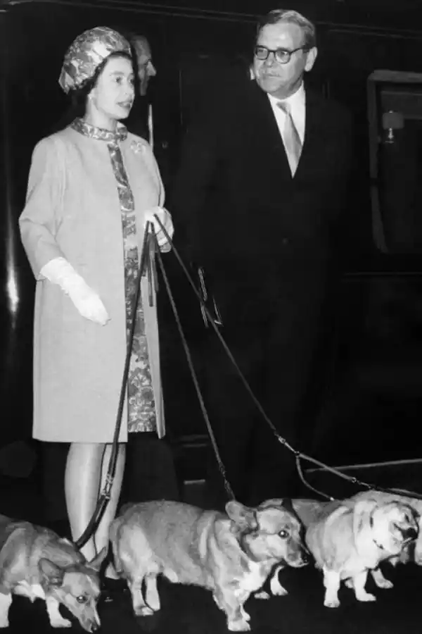 Tras la muerte de la reina Isabel, ¿quién se quedará al cuidado de sus fieles perros corgis?