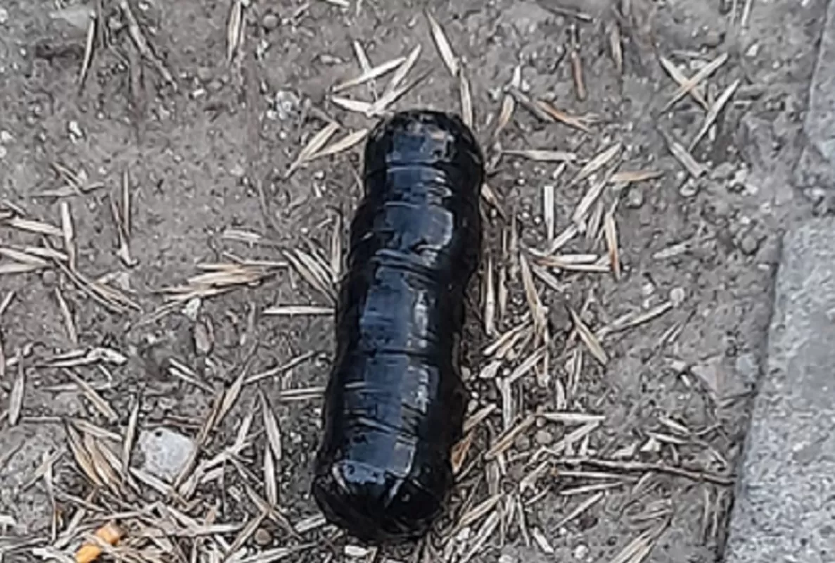 El paquete sospechoso que encontraron frente a la casa del juez Jorge Gorini