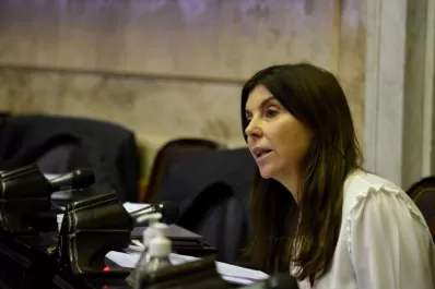 Una diputada de JxC cuestionó el proyecto de Consenso Fiscal: Es perjudicial