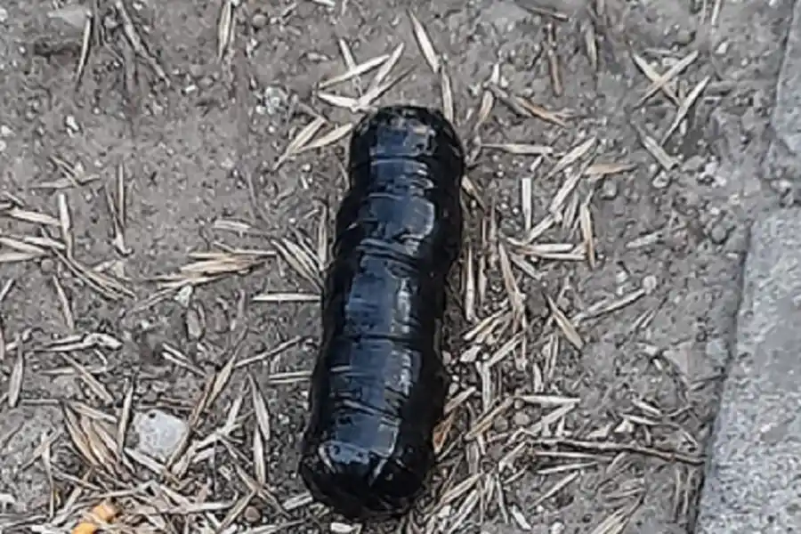 El paquete sospechoso que encontraron frente a la casa del juez Jorge Gorini