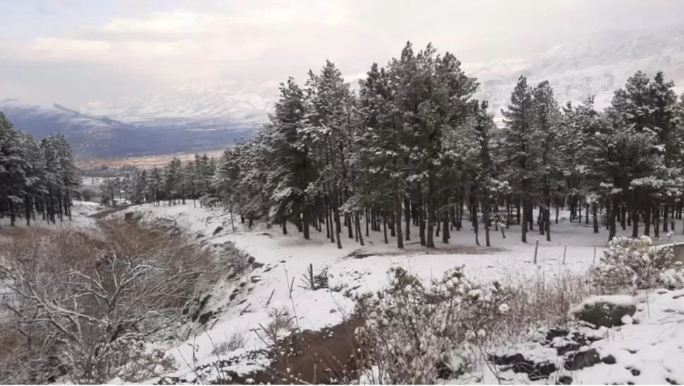 DE BLANCO. Las bajas temperaturas ayudaron a que nieve en Tafí del Valle. foto de javier astorga 