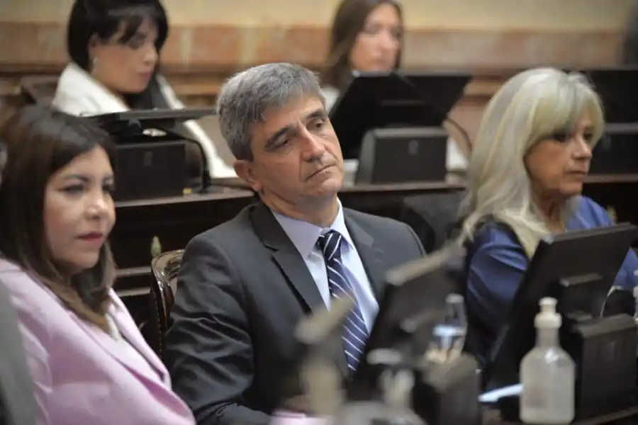 EN LA BANCA. El senador del Frente de Todos, Pablo Yedlin. Foto de Twitter @pyedlin