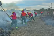 Incendios: el fuego arrasa un millón de hectáreas en Bolivia