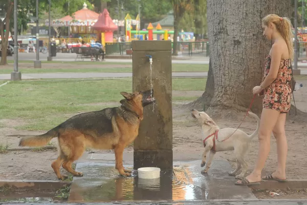 Tucumán, un horno: Cómo reconocer y actuar ante casos de agotamiento y golpe de calor