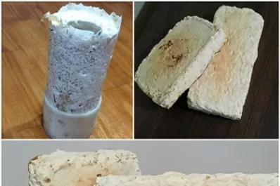 En el baño de su casa creó un material para la construcción hecho de vinaza