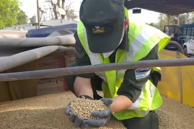 Secuestraron 106 toneladas de granos y semillas que eran trasladadas sin documentación legal