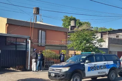Operativo en la capital: desmantelaron un invernadero de plantas de marihuana