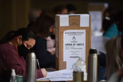 Suspensión de las PASO: el Presidente no la objeta, al igual que el gobernador Kicillof