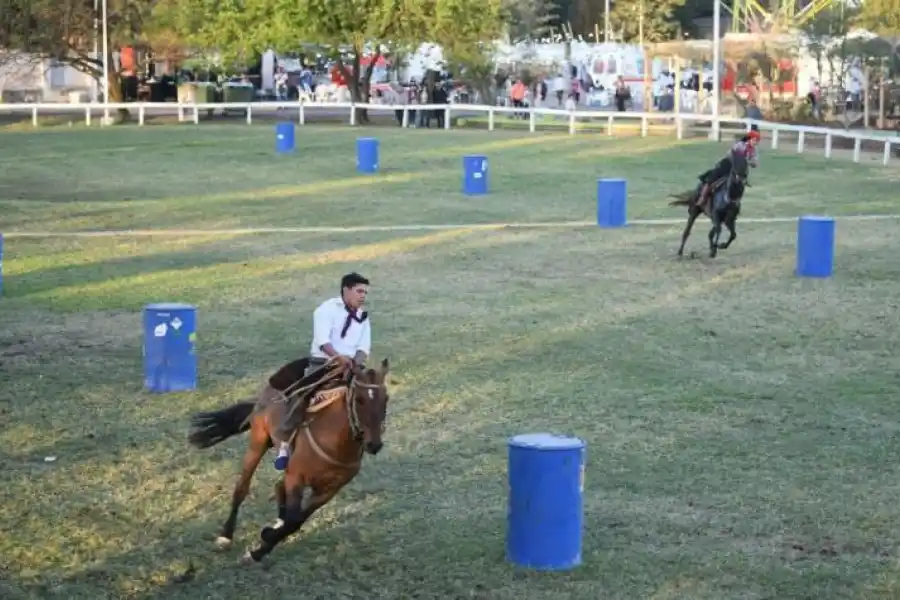  EN ACCIÓN. Los jinetes con las “madrinas” (yeguas que portan cencerros) salen a campo abierto, dejando a los caballos “perdidos”.