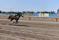 El Premio Batalla de Tucumán es el evento hípico más importante del país, afirmó Jaldo