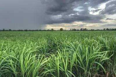 Monitoreo constante para notar el impacto del cambio climático
