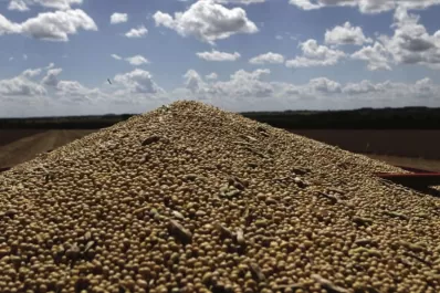 La economía que viene: sin el “dólar soja”, ¿quién alimentará las reservas?