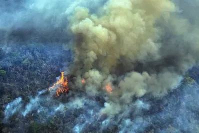 Incendios en la Amazonía: el peor mes desde 2010