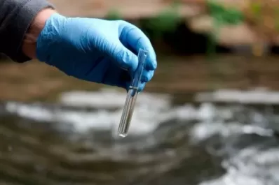 Alertan por el aumento de muertes causadas por la ameba “come cerebros”