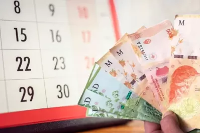 SUAF Anses: cuándo y cómo cobro el plus de $20.000