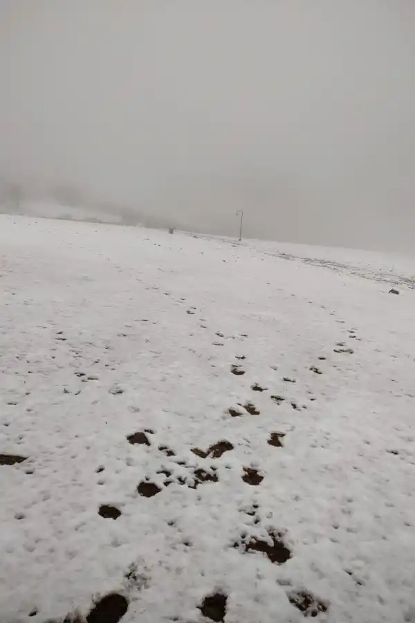 En plena primavera cayó nieve y garrotillo en Tafí del Valle