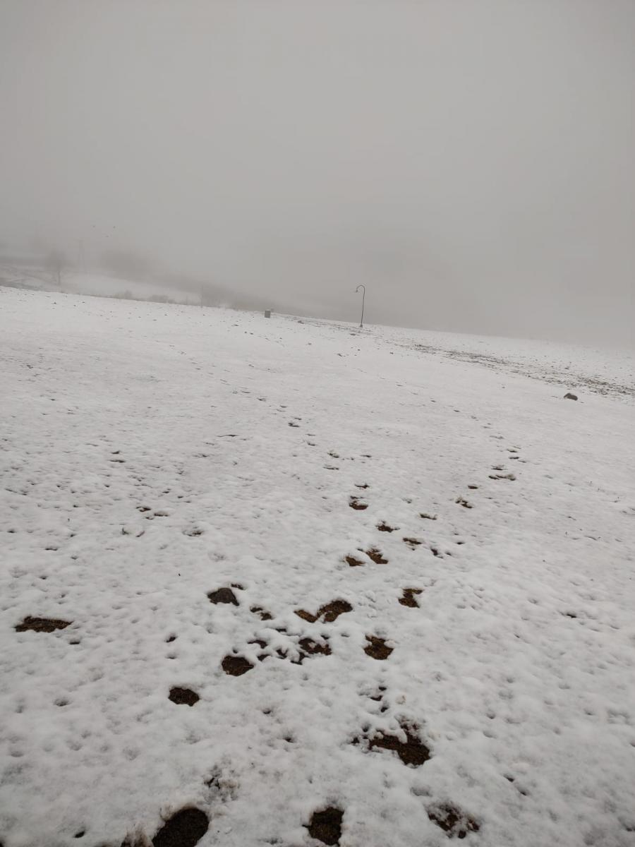 En plena primavera cayó nieve y garrotillo en Tafí del Valle
