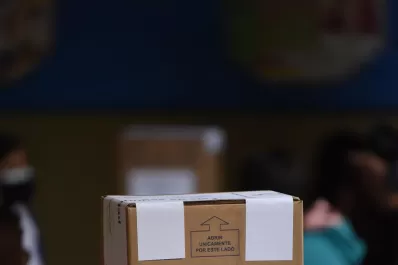 El futuro de las PASO está en manos del Congreso