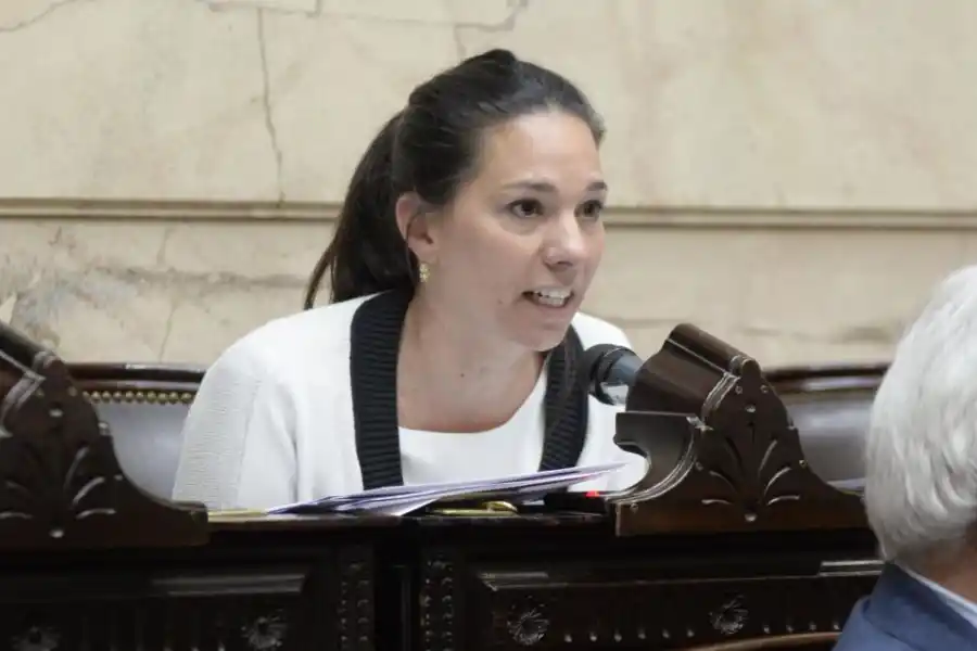 El futuro de las PASO está en manos del Congreso