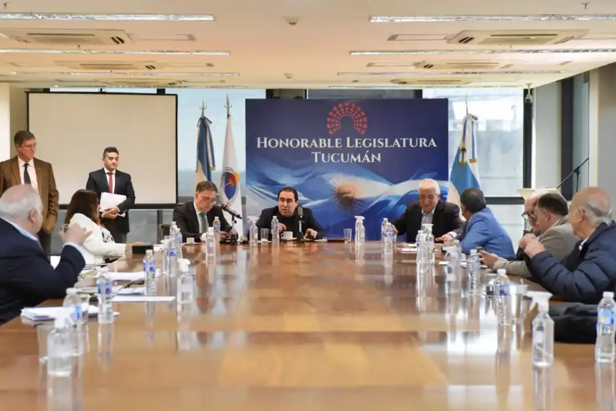 EN LABOR PARLAMENTARIA. Sergio Mansilla encabezó la reunión de la comisión. Foto de Prensa HLT