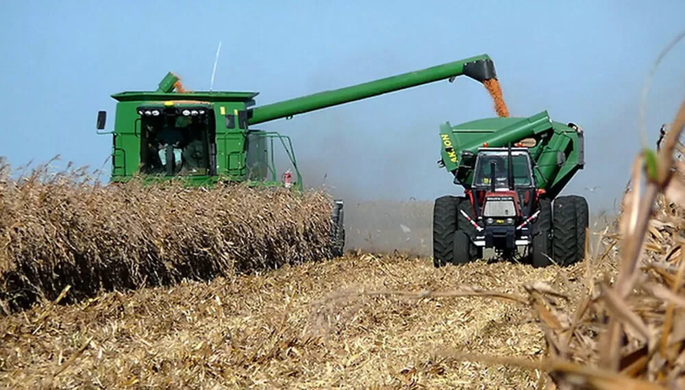 ANÁLISIS. El antecesor maíz para el cultivo de la soja resulta muy importante; sobre todo en años con déficit hídrico.  