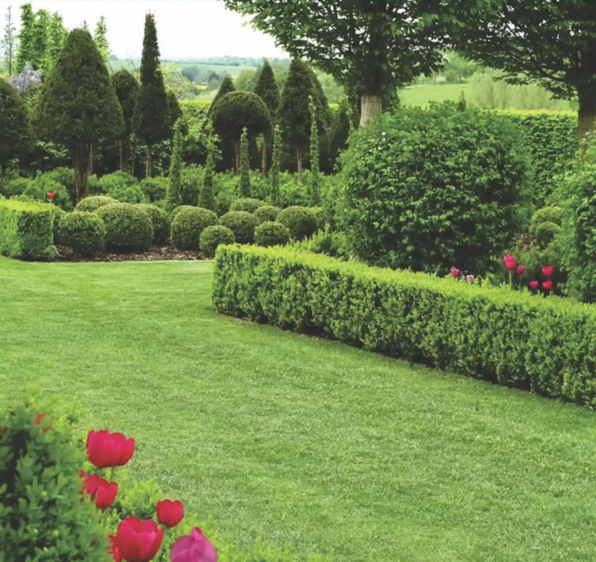 Las mejores opciones en piletas y jardín para este verano