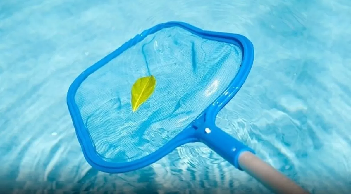 Las mejores opciones en piletas y jardín para este verano