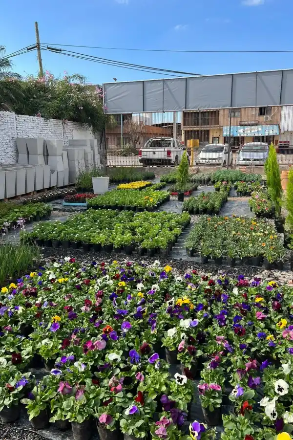 Las mejores opciones en piletas y jardín para este verano