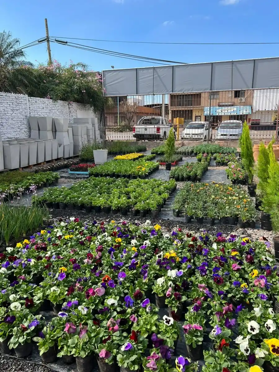 Las mejores opciones en piletas y jardín para este verano