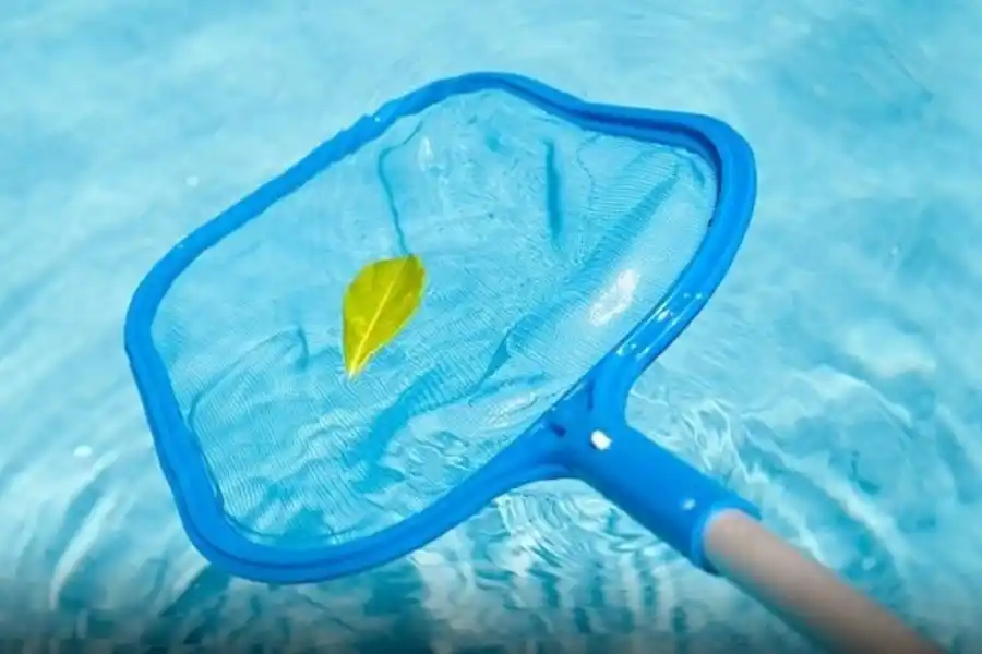 Las mejores opciones en piletas y jardín para este verano