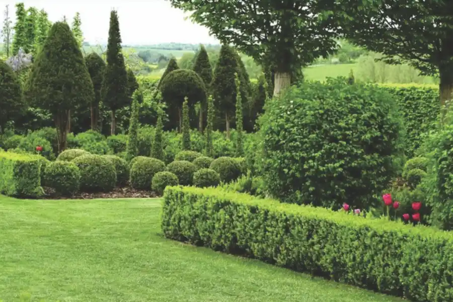 Las mejores opciones en piletas y jardín para este verano