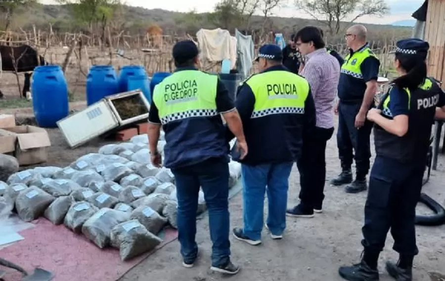 Secuestran 100 kilos de marihuana, en Tucumán